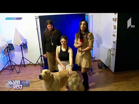 #ახალიდღე ცხოველების ფოტოგრაფია