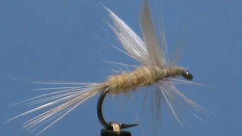 Fly Tying for Beginners a Pale Morning Dun with Jim Misiura