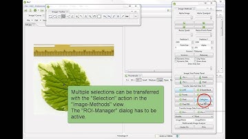 Transfer image shape data coordinates to R