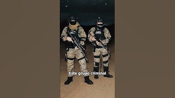 The Dangerous Northeast Cartel (CDN) 🚨