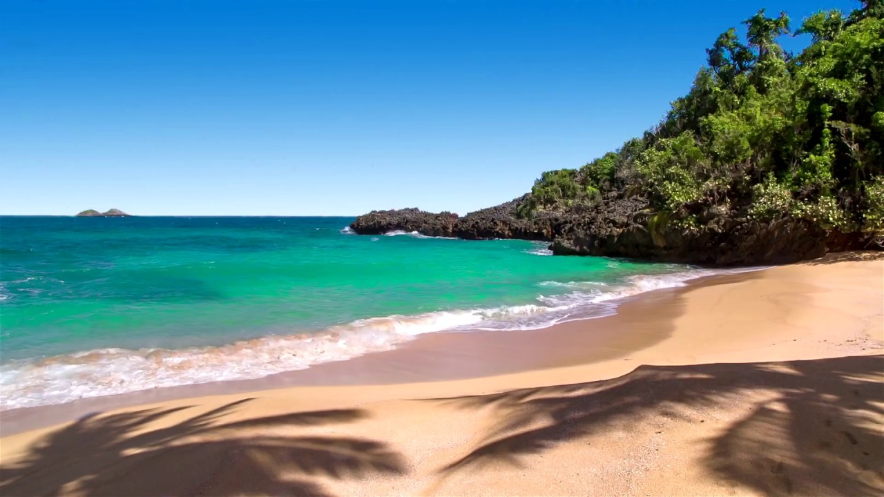 musica para dormir profundamente 8 Hours of Relaxing Oceans Sounds at the Beach - Waves for Study, Meditation, Sleeping