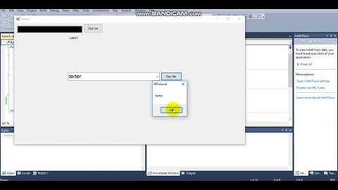 How to use Combobox . Windows form Application , Visual Basic