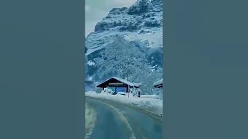 خذو بأسباب دنياكم كلمات عبدالرحمن العشماوي 