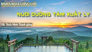Kinh NIKAYA Giảng Giải - Nuôi dưỡng tâm xuất ly