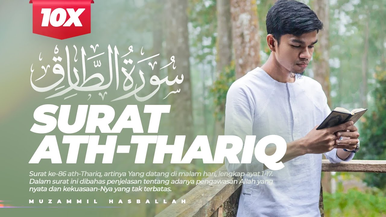 Eshak videoda katta obektlar