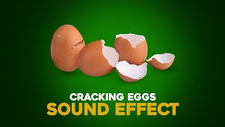 Cracking Eggs | Free Sound Effects (High Quality)