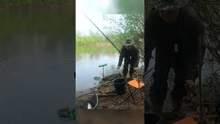 Relax #рыбалка #fishing #хобби #весна #shorts