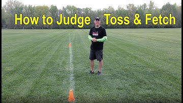 How to Judge Toss and Fetch