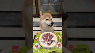 Tavuk Kalbi Köpeklerin Gözünde Gerçek Bir Lezzet Bombası Öpek