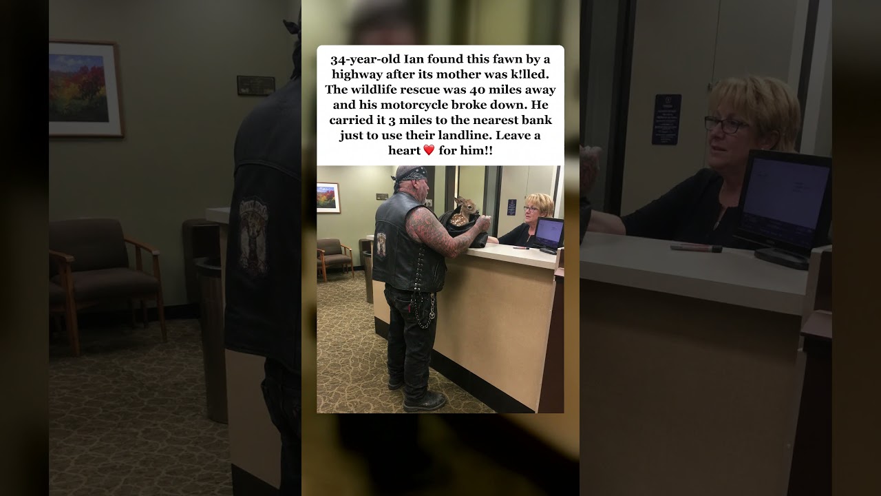 Biker Carries Orphaned Fawn 3 Miles to Call Wildlife Rescue 🦌