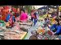 Cambodian fresh seafood fish  more  cambodian village market food