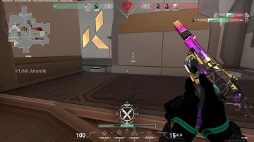 Viper 1v4 Clutch Icebox