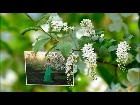 стиль для ProShow