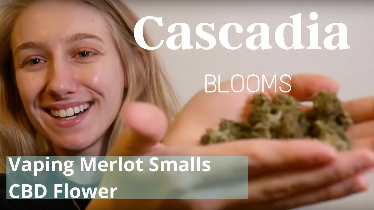 Merlot Hemp Flower Smalls [Cherry Wine x Berry Blossom]