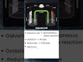 Galvanic Cell 5 Things You Must Never Forget
