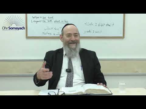 The Kosher Cheeseburger Vayigash Rabbi Dovid Kaplan Weekly Parsha 