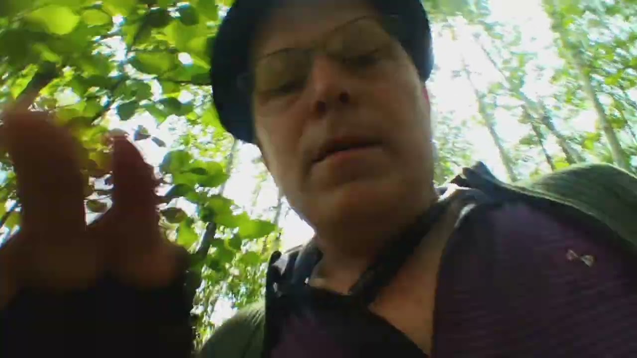 Abandoned Maine: Walker Mine