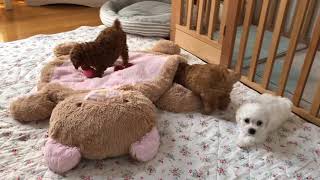 IMG 4676