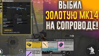 ВЫБИЛ ЗОЛОТУЮ МК14 НА СОПРОВОДЕ!? РАЗНЕСЛИ СЕРВЕР?! PUBG METRO ROYALE