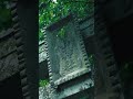 【Japan】神秘的なここ、知ってますか？