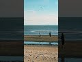 Beautiful day