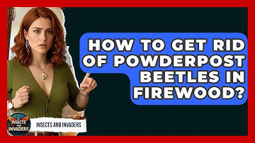 How To Get Rid Of Powderpost Beetles In Firewood? - Insects and Invaders