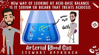 Stewart Approach Advanced Acid-Base Understandings Abg Series