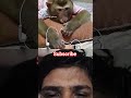 #funny #comedy #monkey #funnyanimals #jokes #pet #animaldub #shortsfeed #comedydub #funnyanimal
