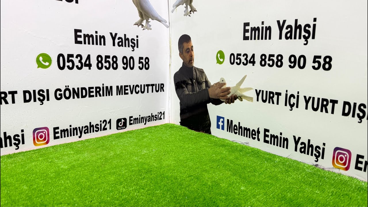 Emin Yahşi Canlı Mezat kanalı canlı yayında
