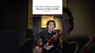 "Harry Potter Flute Solo" for Bassoon Solo🧙 #harrypotter #music #meme #bassoon #challenge