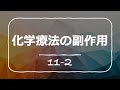 化学療法の知っておきたい副作用