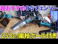 【格安おすすめ】Seesiiの高枝ポール付き8インチチェンソーが過去一で使える