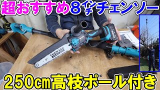 【格安おすすめ】Seesiiの高枝ポール付き8インチチェンソーが過去一で使える