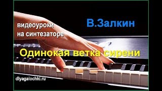 Видеоурок на синтезаторе Одинокая ветка сирени