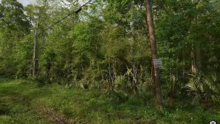 Alliance Properties - Lot 3 Shady Lane