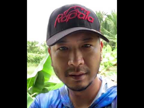 Strike Snakehead - Pakai umpan buatan sendiri 