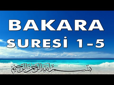 Bakara Suresi 1-5  | Elif Lam Mim