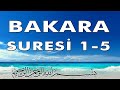 Bakara Suresi 1-5  | Elif Lam Mim