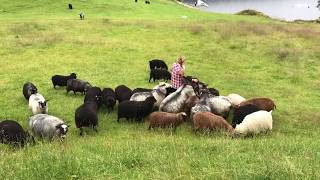 Øvre Eide Farm - Bergen, Norway