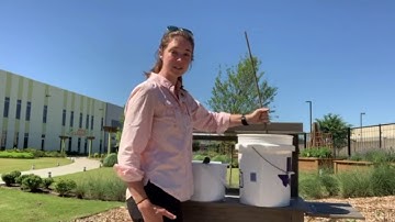 Bucket Gardening Part 1 - Compost Tea