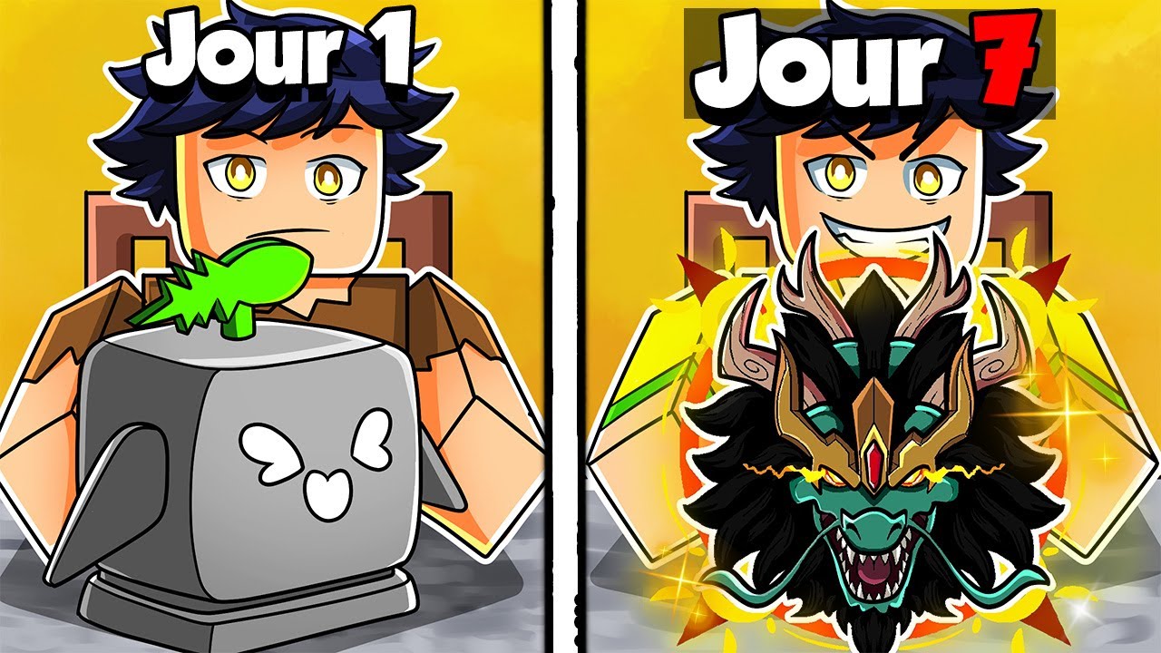 J'ai Trade le fruit du Rocket pendant 7J..