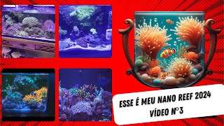 Esse é meu Nano Reef 2024 - Vídeo nº3 by Aquário Marinho -Sem Grana 3,158 views 1 month ago 11 minutes, 56 seconds