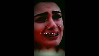 مين فى الدنيا دى شايل شيلتى    كاملة    سمعها