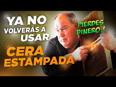Pt. 6| COLMENAS