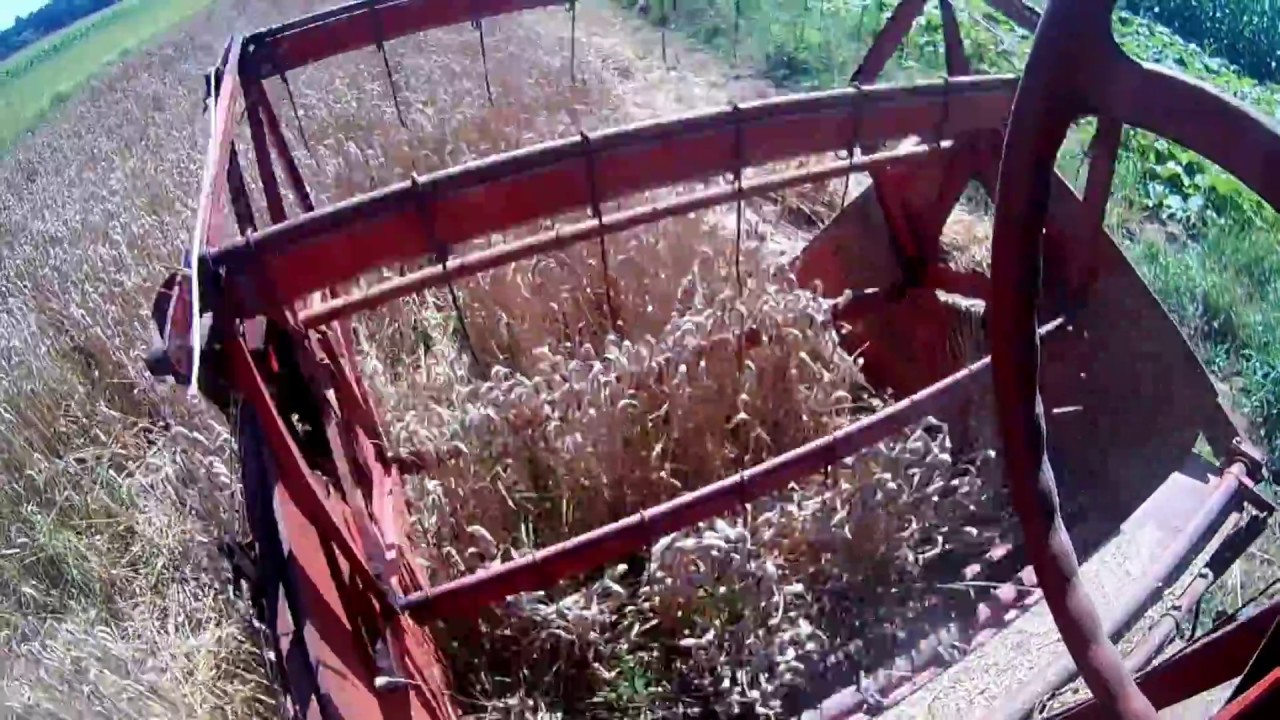 MF Massey Ferguson 630S Mähdrescher beim dreschen