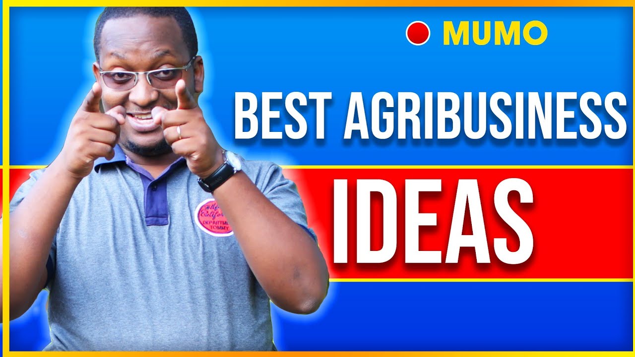 Top Ten Agribusiness Ideas in Kenya - YouTube