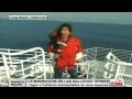 Seis especies de ballenas llegan a California