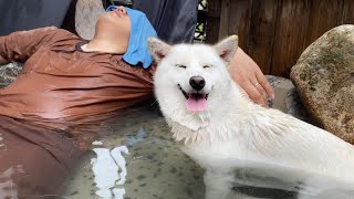Puppy enjoying spa with the butlers~!