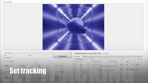 Optomotor Response - Measured with the PhenoSys qOMR