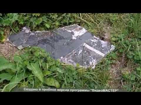 сентелек Вася